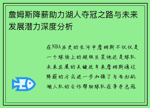 詹姆斯降薪助力湖人夺冠之路与未来发展潜力深度分析