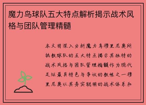 魔力鸟球队五大特点解析揭示战术风格与团队管理精髓